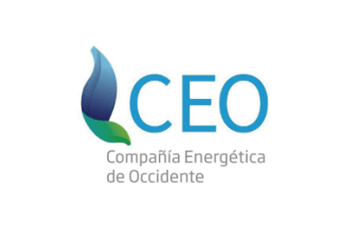 CEO